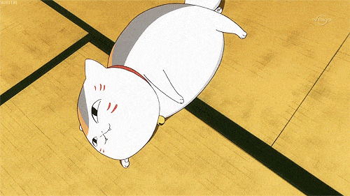 angry cat on Make a GIF