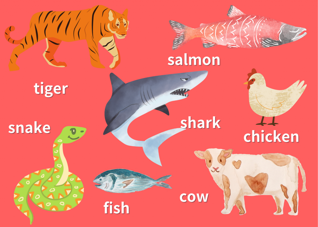 Learning Animals Name in English: Pronunciation, Plural Forms and More